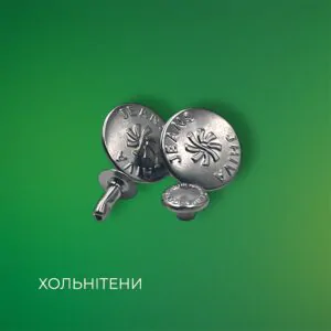 Металеві хольнітени з візерунком / Decorative metal rivets (holnitens) / Label of World